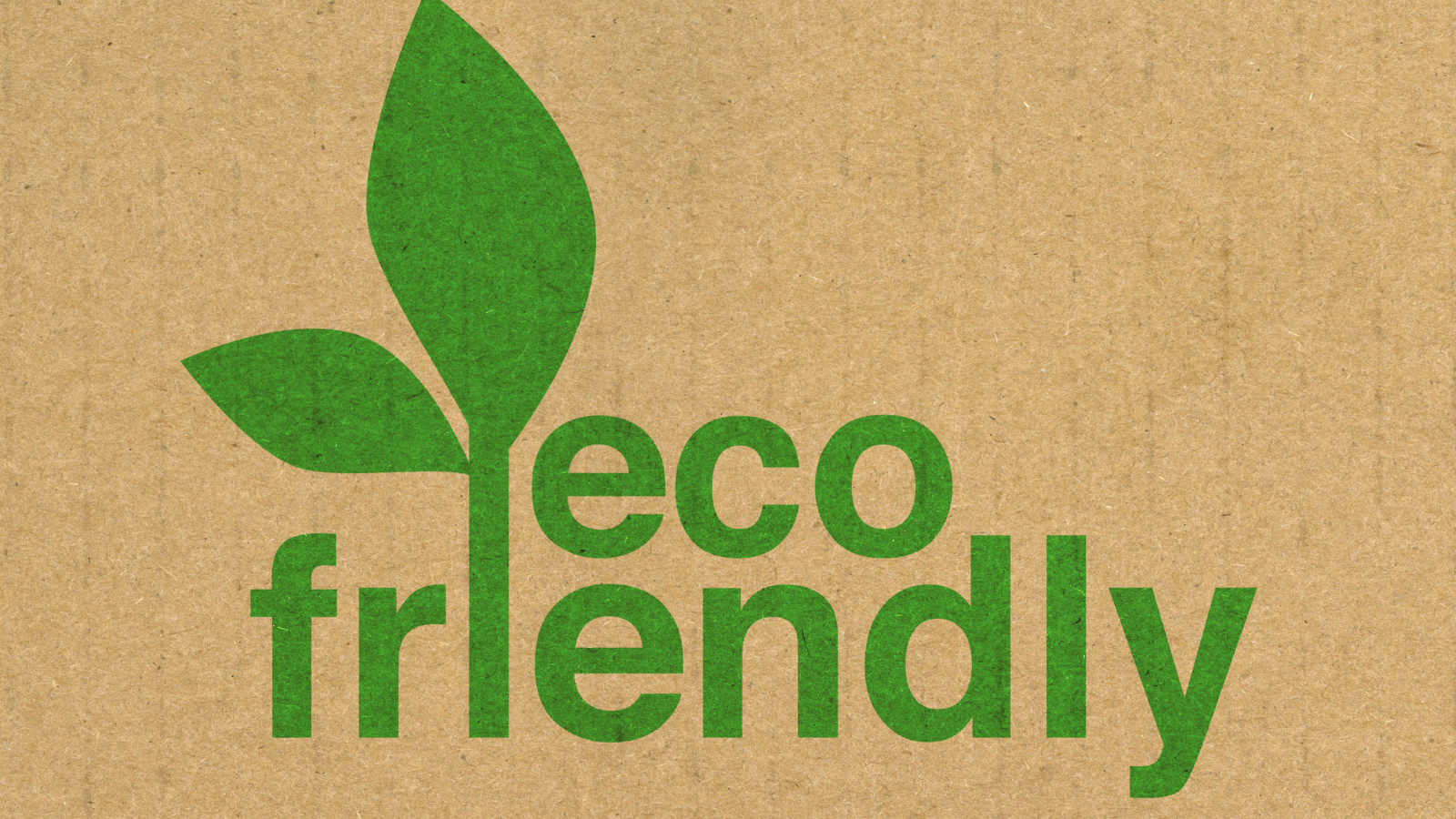 Eco-Friendly Plumbing Solutions